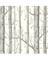 Legni e stelle 103-11050
