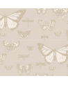 Butterflies and  Dragonflies 103-15064