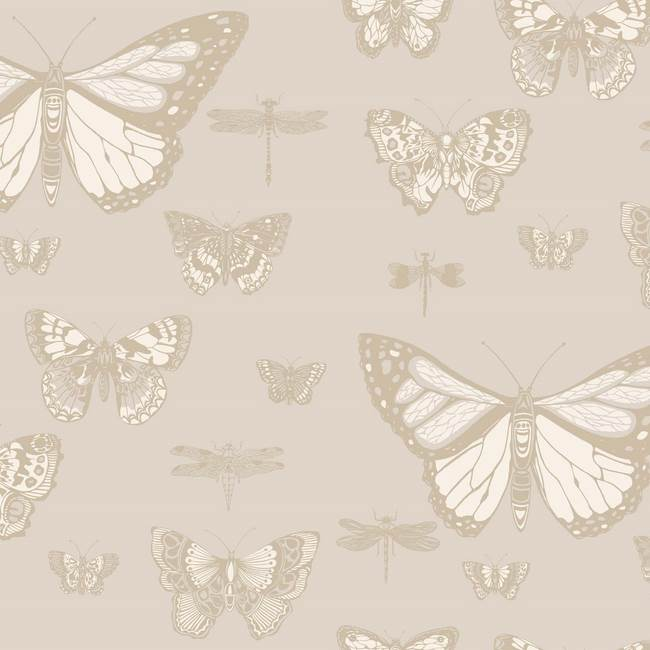 Schmetterlinge und Libellen 103-15064