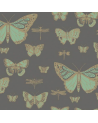 Papier peint Butterflies and  Dragonflies 103-15067 - COLE and SON