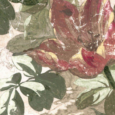 Papel de parede Lady Roxana 23015-001 - RUBELLI