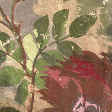 Papel Pintado Lady Roxana 23015-002 - RUBELLI