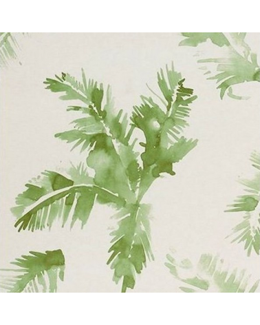 Palm trees - 4800043