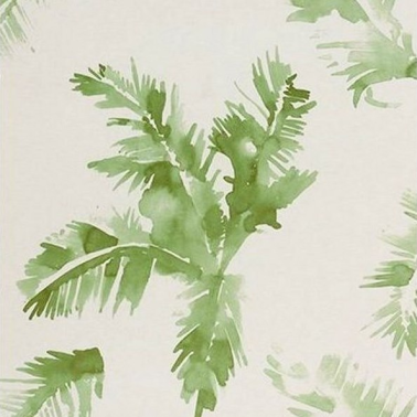 Palm trees - 4800043