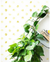 Papier peint Puntos - 4800065 - COORDONNE