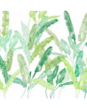 Papier peint Palm Springs Mural - 4800073 - COORDONNE