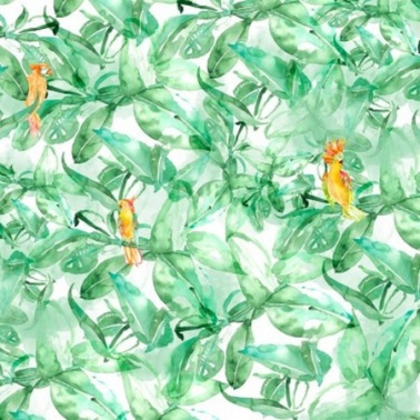 Tapete Find Parrots Mural - 4800074 - COORDONNE