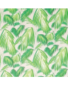 F6791-02-Tropicana