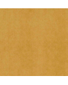 GDT-5034-012 Villamayor Mustard