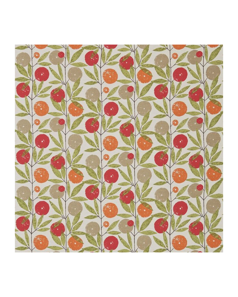 Dekostoff NFIK120358-blomma-tangerine chilli citrus SCION