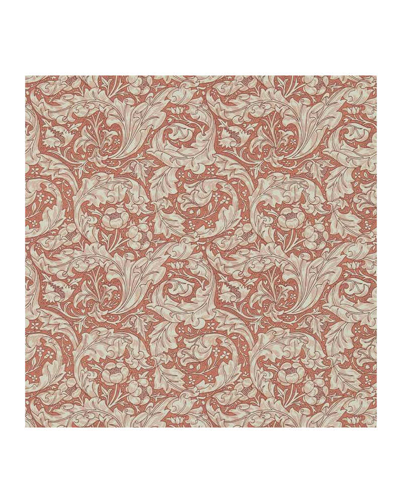 Papel Pintado DM3W214734 Bachelors Button - MORRIS CO Papel Pintado DM3W214734 Bachelors Button - MORRIS CO