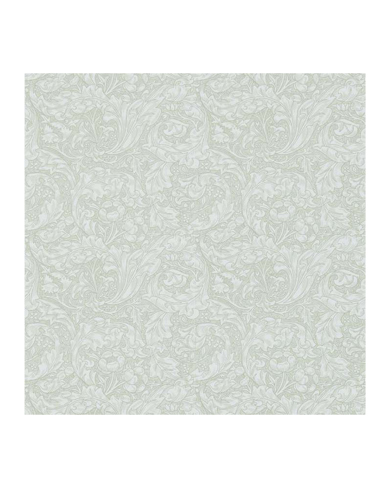 Papel Pintado DM3W214738 Bachelors Button - MORRIS CO Papel Pintado DM3W214738 Bachelors Button - MORRIS CO
