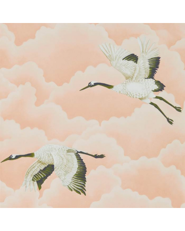 111232-cranes in volo