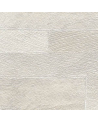 VP-893-01 Pana