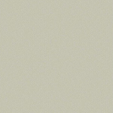 Carta da Parati Coral 106-5067 - COLE and SON