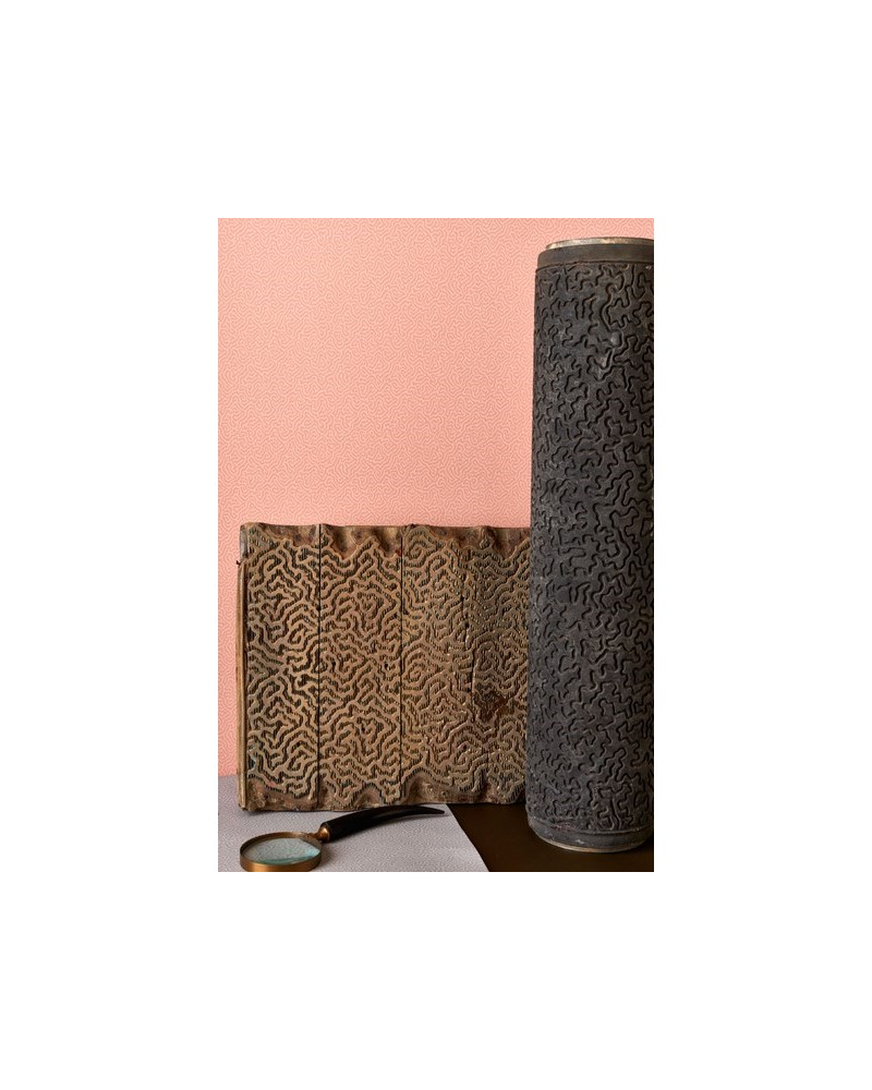 Papier peint Coral 106-5072 - COLE and SON