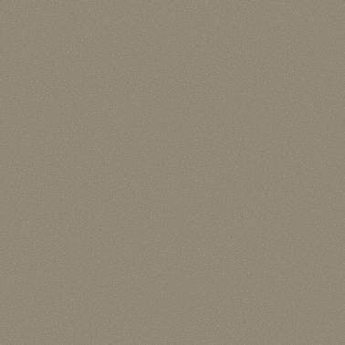 Carta da Parati Pebble 106-2020 - COLE and SON