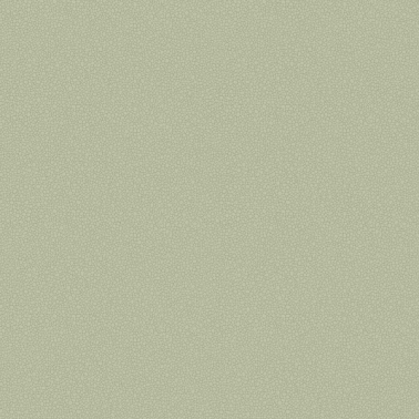 Papel de parede Pebble 106-2027 - COLE and SON