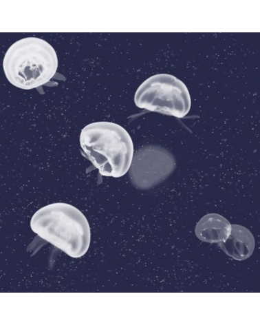 58.11 Jellyfish blau