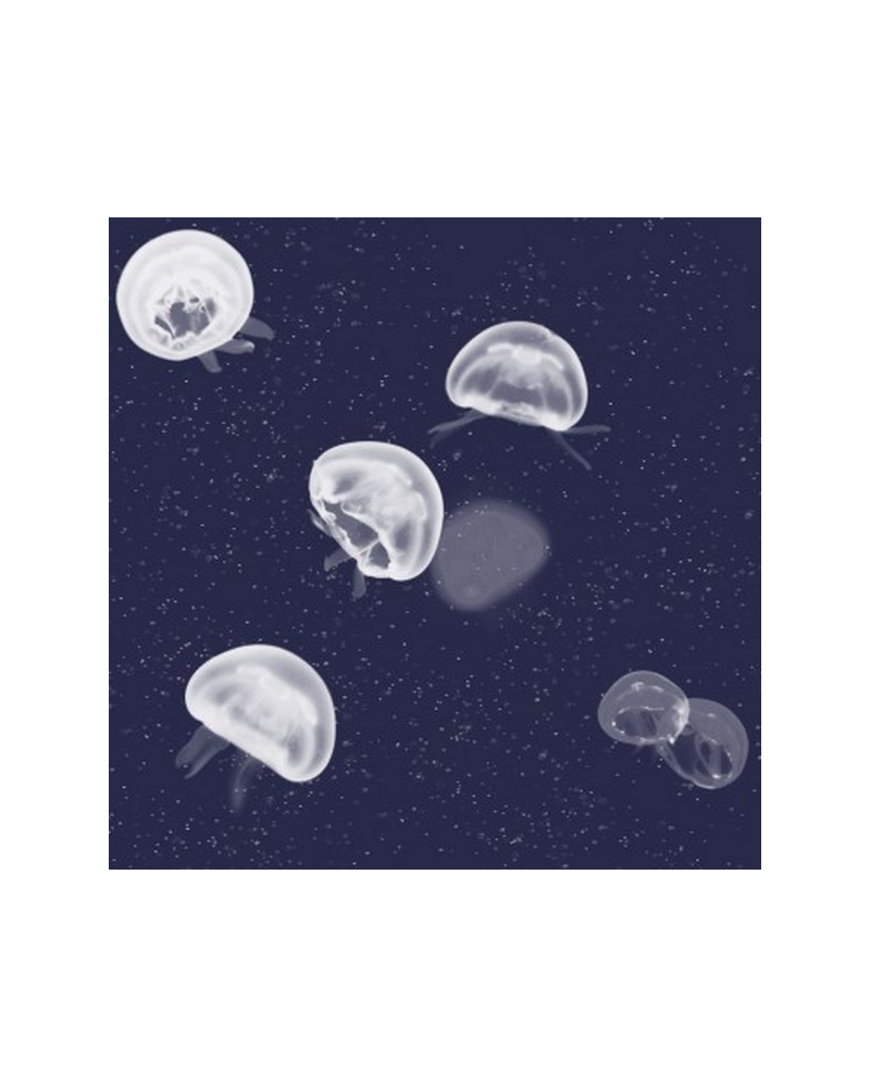 5800011 Jellyfish bleu