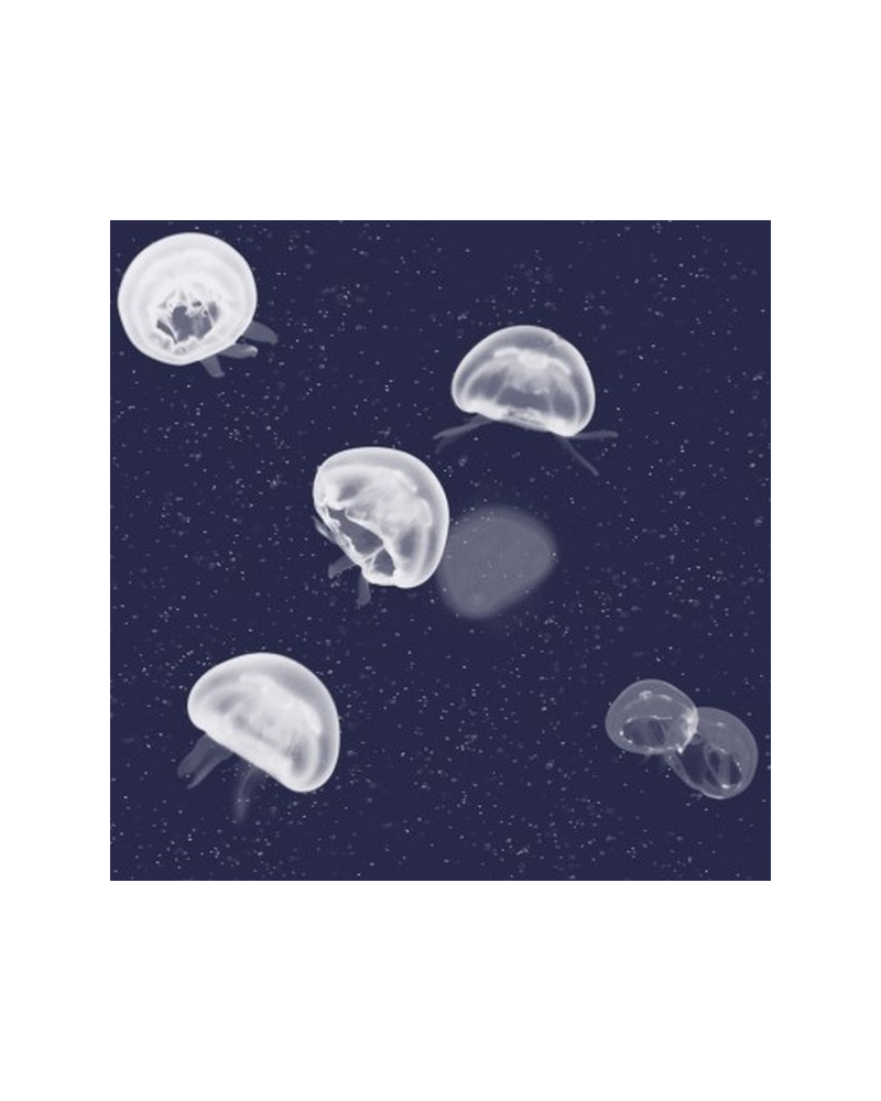 Carta da Parati 5800011 Jellyfish blue - COORDONNE Carta da Parati 5800011 Jellyfish blue - COORDONNE