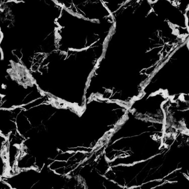 Carta da Parati 5800043 Marble Black - COORDONNE