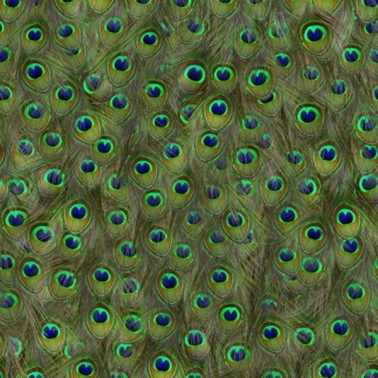 Tapete 5800051 Peafowl Original - COORDONNE