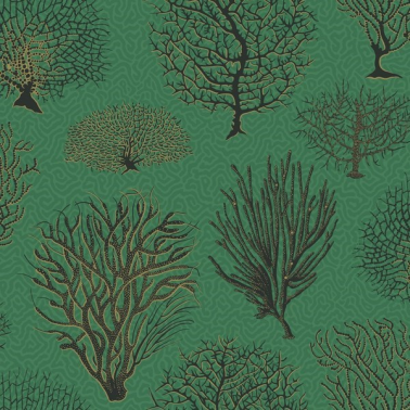 Wallpaper Seafern 107-2007 - COLE and SON