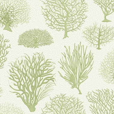 Papel de parede Seafern 107-2008 - COLE and SON