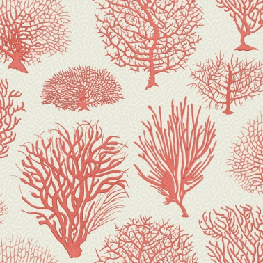 Papel de parede Seafern 107-2011 - COLE and SON