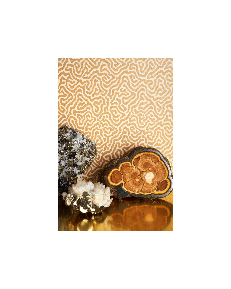 Wallpaper Vermicelli 107-4020 - COLE and SON