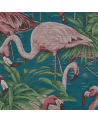 Flamingo_31541