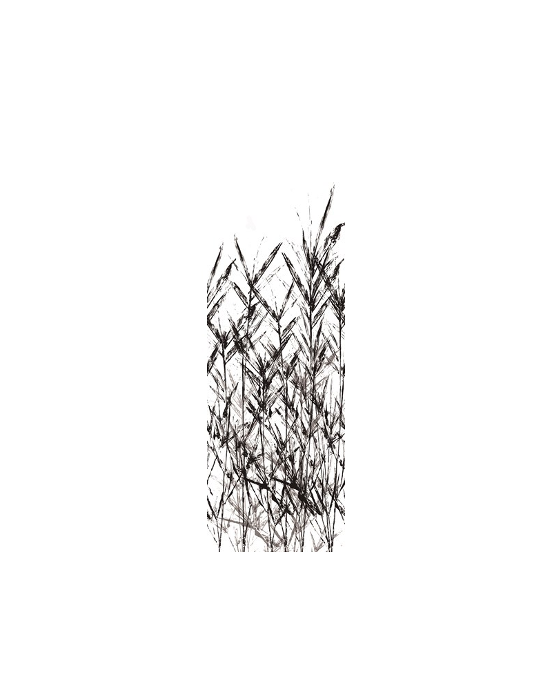 Papel Pintado P 2502-1 ROUSSEAU - Tres Tintas Papel Pintado P 2502-1 ROUSSEAU - Tres Tintas