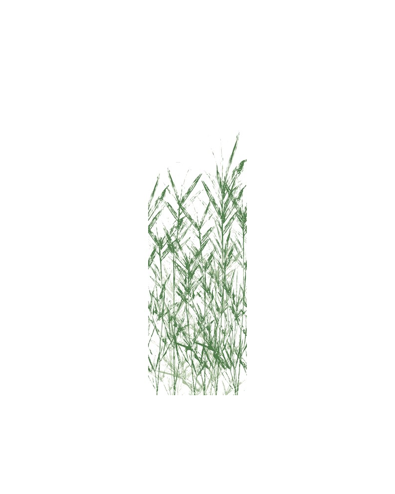 Papel Pintado P 2502-2 ROUSSEAU - Tres Tintas