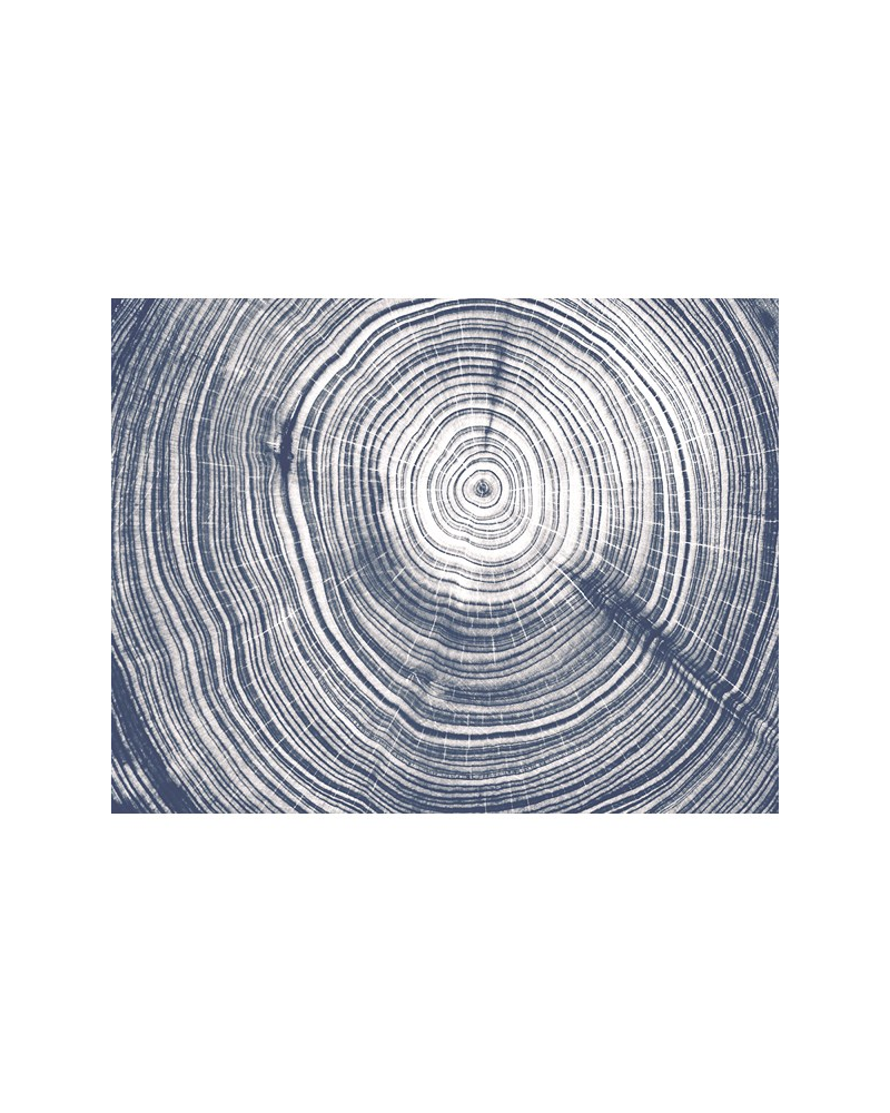 Papel Pintado M 2510-1 PIN COUER - Tres Tintas Papel Pintado M 2510-1 PIN COUER - Tres Tintas