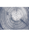 Wallpaper M 2510-1 PIN COUER - Tres Tintas