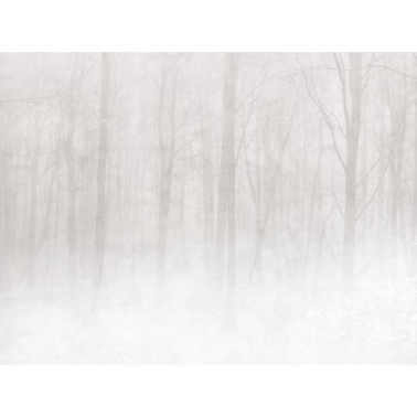 Carta da Parati Vinterskog 622-18 Grey - SANDBERG
