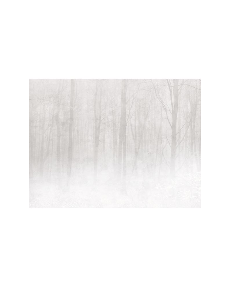 Papier bemalt Vinterskog 622-18 Grau - SANDBERG Papier bemalt Vinterskog 622-18 Grau - SANDBERG