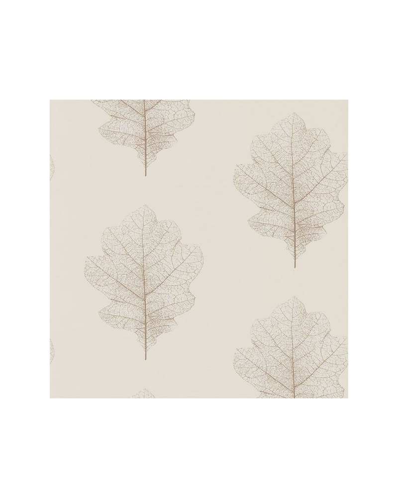 Wallpaper OAK FILIGREE DWOW215699-milk pearl - Sanderson Wallpaper OAK FILIGREE DWOW215699-milk pearl - Sanderson