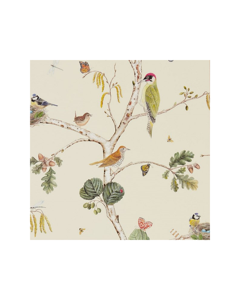 Papel Pintado WOODLAND CHORUS DWOW215703-cream multi - Sanderson Papel Pintado WOODLAND CHORUS DWOW215703-cream multi - Sanderson
