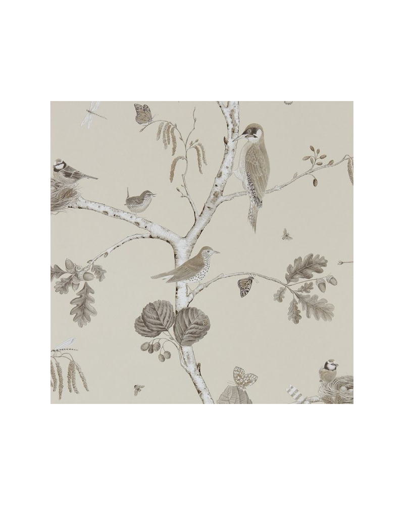 Papel Pintado WOODLAND CHORUS DWOW215704-sepia neutral - Sanderson Papel Pintado WOODLAND CHORUS DWOW215704-sepia neutral - Sanderson