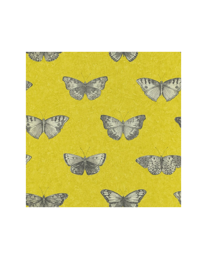 Papier peint SRE68212090 - Caselio