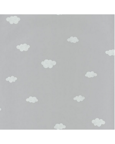 MLW29759332 NUAGE GRIS