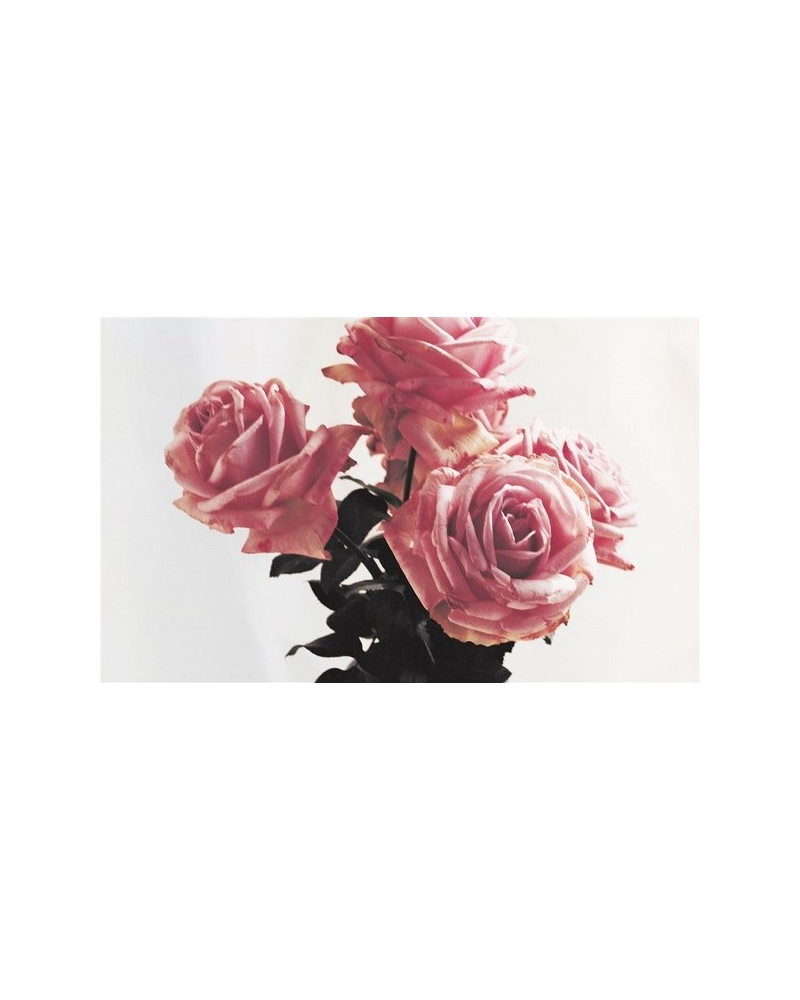 Papel Pintado PRL710-03 Fern Toile Pencil - Ralph Lauren Home
