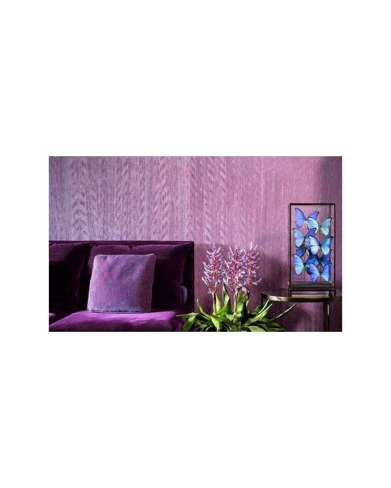 Wallpaper Fierce 23504 - Arte