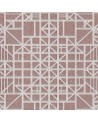 Window 54004