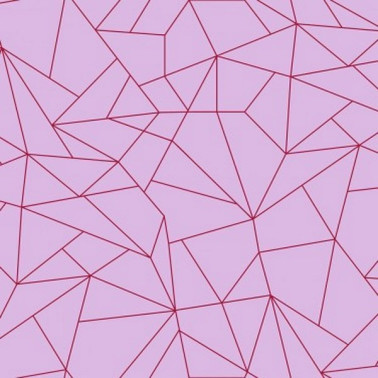 Carta da Parati 5900060 - FRACTALISIMI PINK - COORDONNE