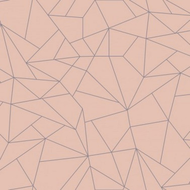 Papier peint 5900062 - FRACTALISIMI SALMON - COORDONNE