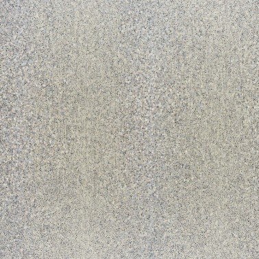 Wallpaper Galuchat QNT80 - NOBILIS