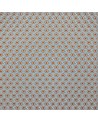 GDT-5400-003 Laranja de Morley